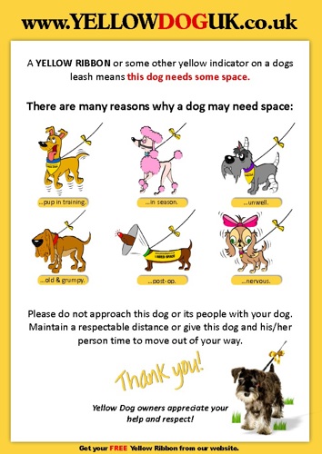 Yellow dog poster