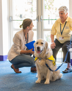 Pets at Therapy dog named Pipper