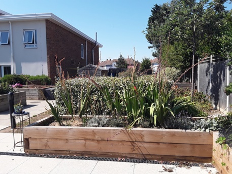 Picture of the planted raised beds in the Copperfields garden